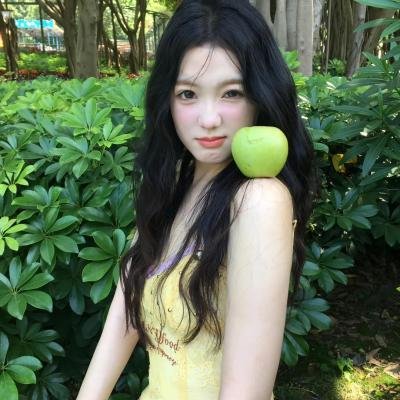休战协定